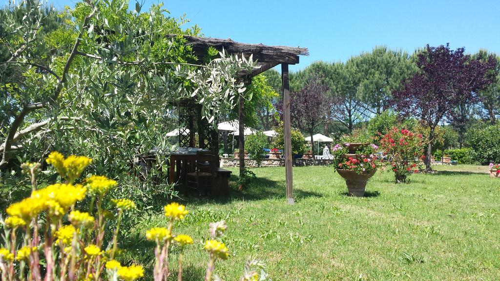 Agriturismo Il Catrino Ponteginori Zewnętrze zdjęcie