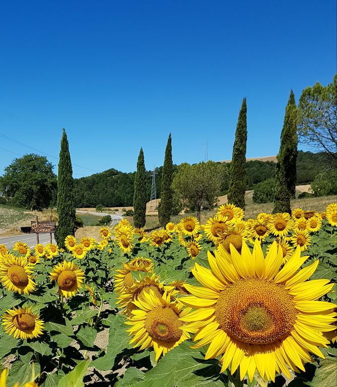 Agriturismo Il Catrino Ponteginori Zewnętrze zdjęcie