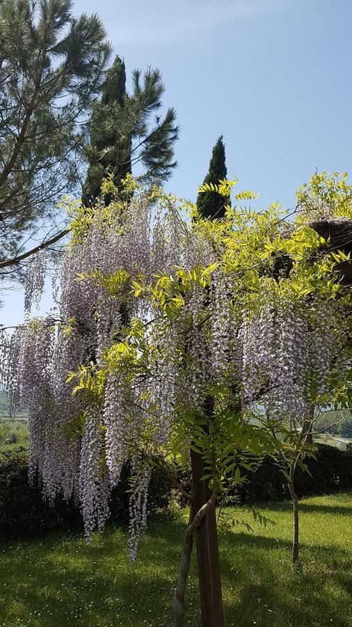 Agriturismo Il Catrino Ponteginori Zewnętrze zdjęcie