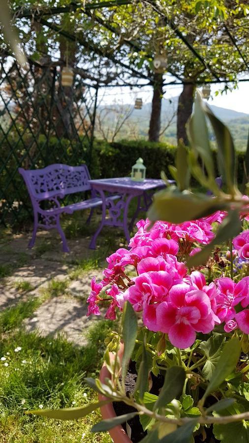 Agriturismo Il Catrino Ponteginori Zewnętrze zdjęcie
